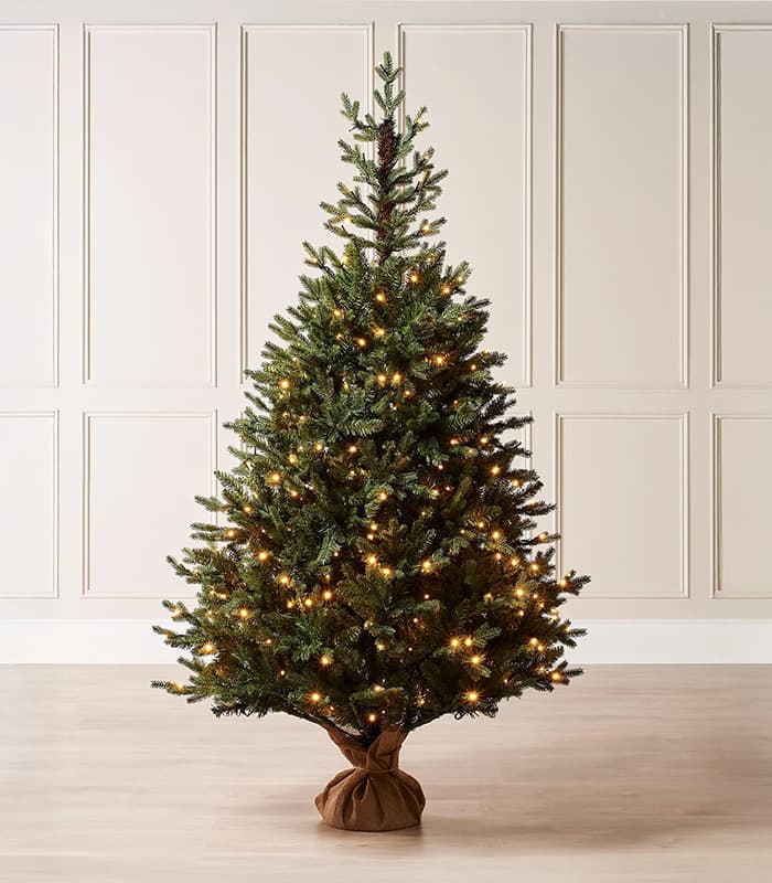 norway-christmas-tree.jpeg Norway Christmas Tree - Image 1